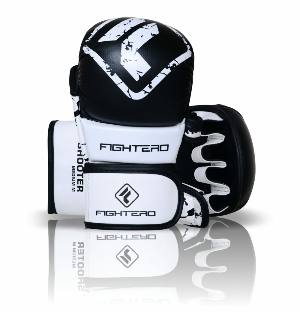 Sparring MMA