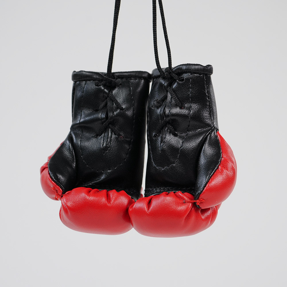 Rückspiegel-Boxhandschuhe ALBANIA