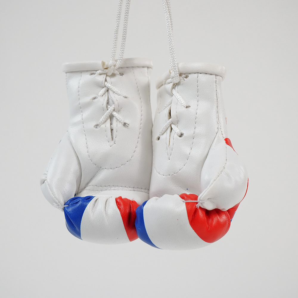Rückspiegel-Boxhandschuhe Kroatien/Croatia
