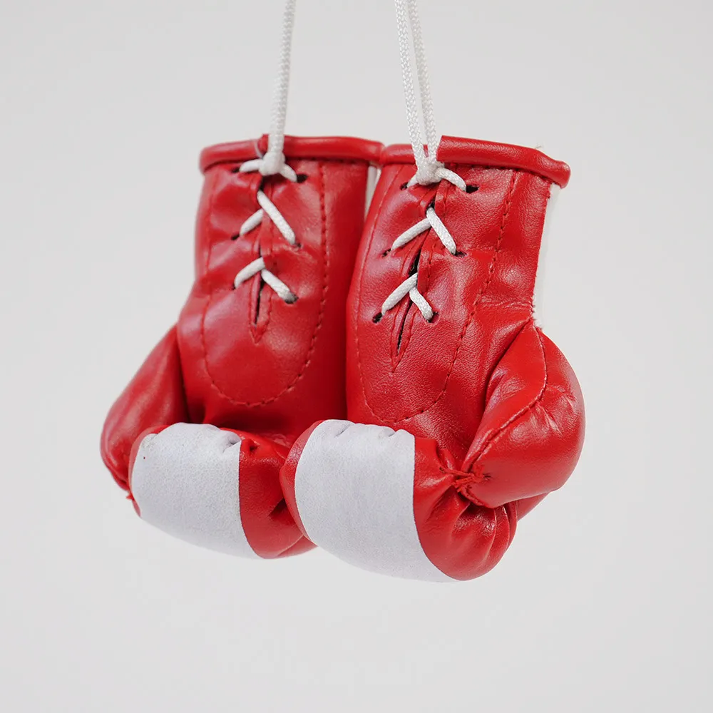 Rückspiegel-Boxhandschuhe ÖSTERREICH