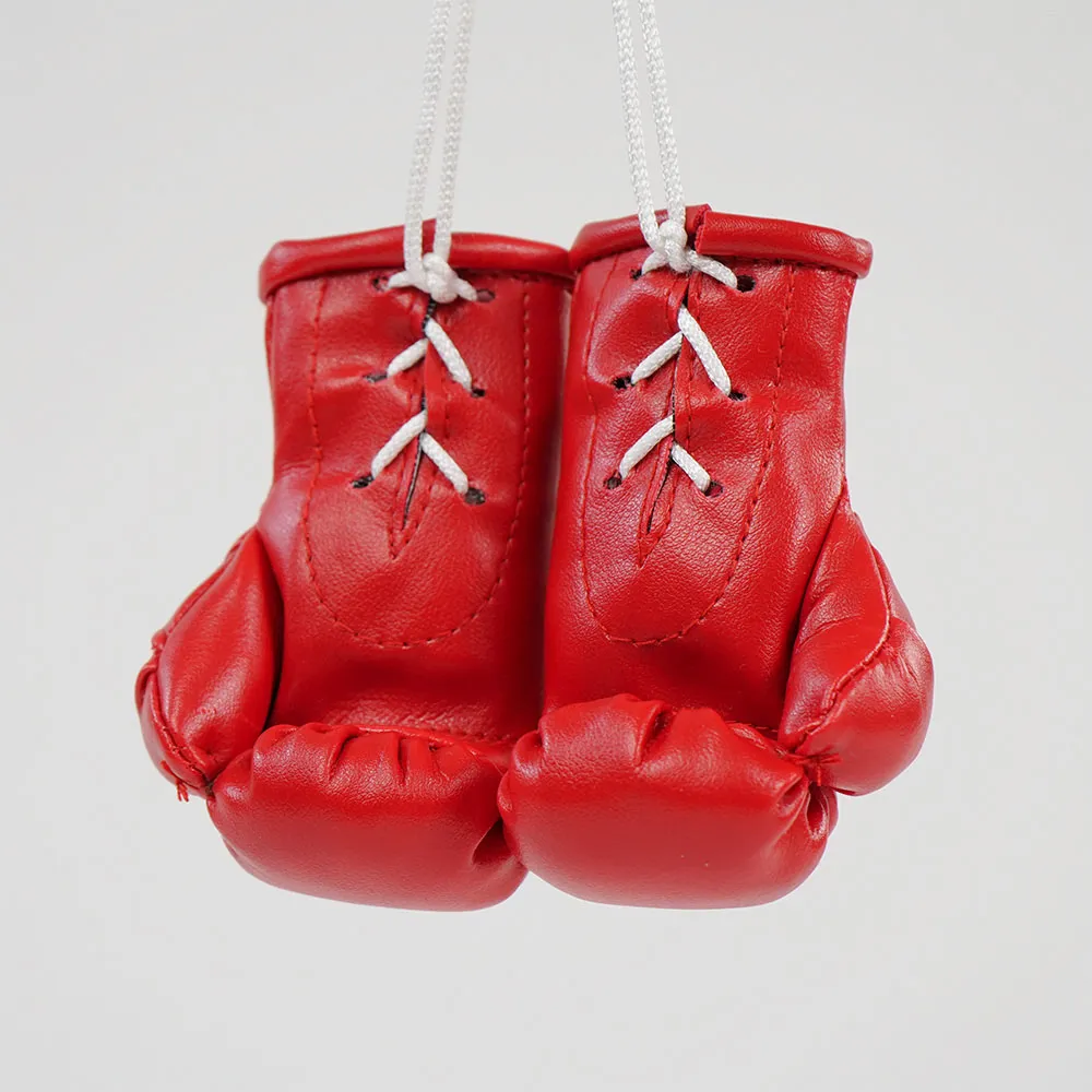 Rückspiegel-Boxhandschuhe Palästina