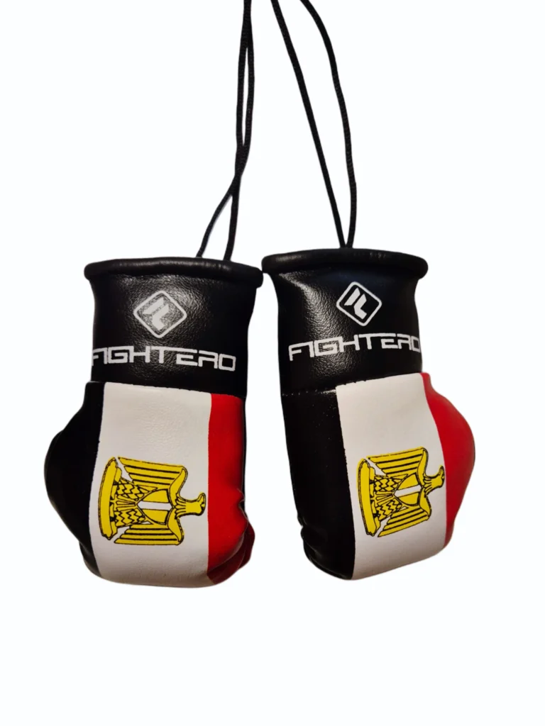 Rückspiegel-Boxhandschuhe Ägpten – Egypt