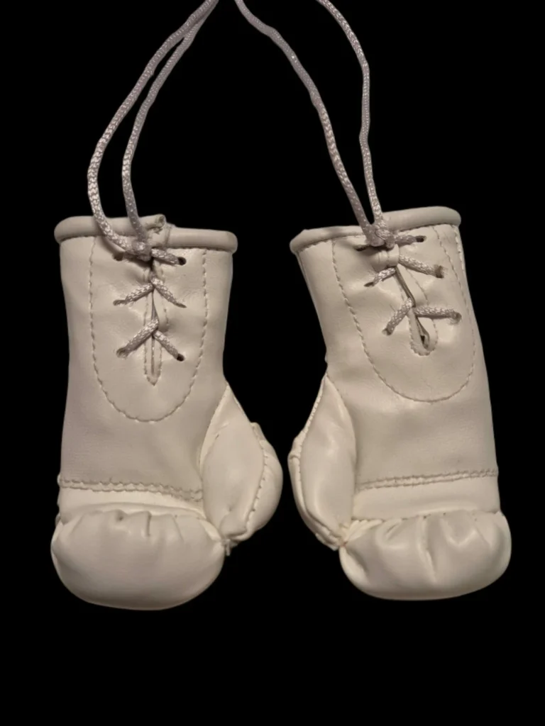 Mini Boxhandschuhe Vendetta weiß