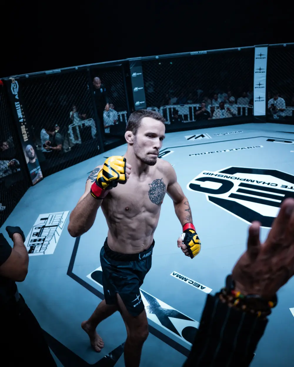 AEC MMA Short Gris Noir